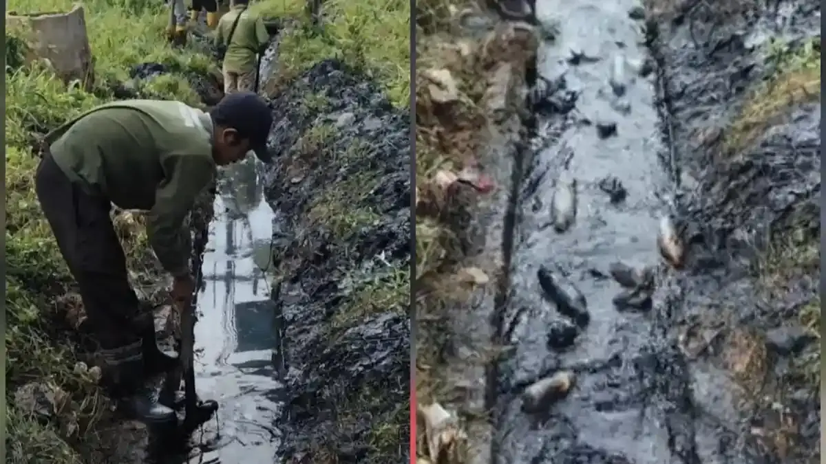 DBMSDA Batam Bersihkan Drainase Tersumbat di Piayu Laut, Tumpukan Sampah Diangkut - Tribunbatam.id
