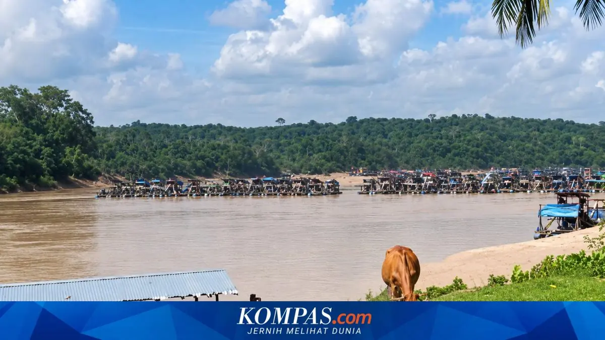 Razia 300 Rakit Tambang Emas Ilegal di Jambi Diduga Bocor, Warga Sebut Ada Keterlibatan Oknum Aparat