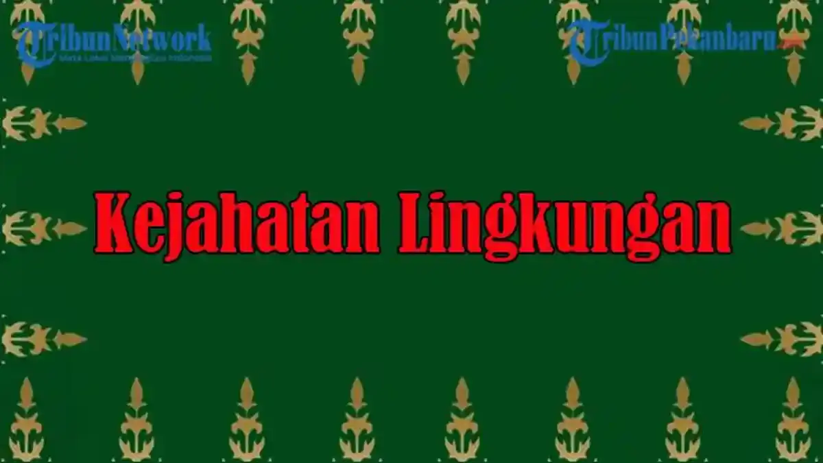 Polda Riau Lengkapi Berkas Kasus Kejahatan Lingkungan PT Musim Mas dan Dilimpahkan Kembali ke Jaksa - Tribunpekanbaru.com