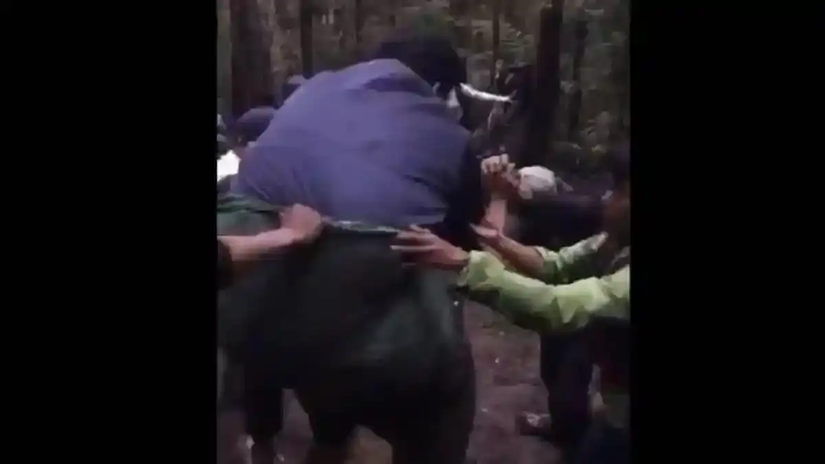 Pendaki Berbobot 140 Kg Dievakuasi dari Gunung Gede, Relawan Berjuang Tujuh Jam Turuni Jalur Terjal - Wartakotalive.com