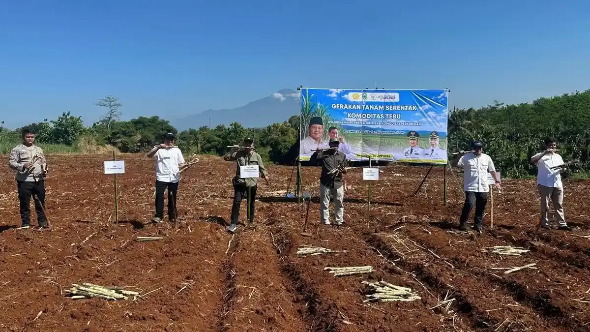 SGN Tancap Gas Dukung Swasembada Pangan dan Energi, Perkuat Hilirisasi Tebu Nasional - Surya.co.id