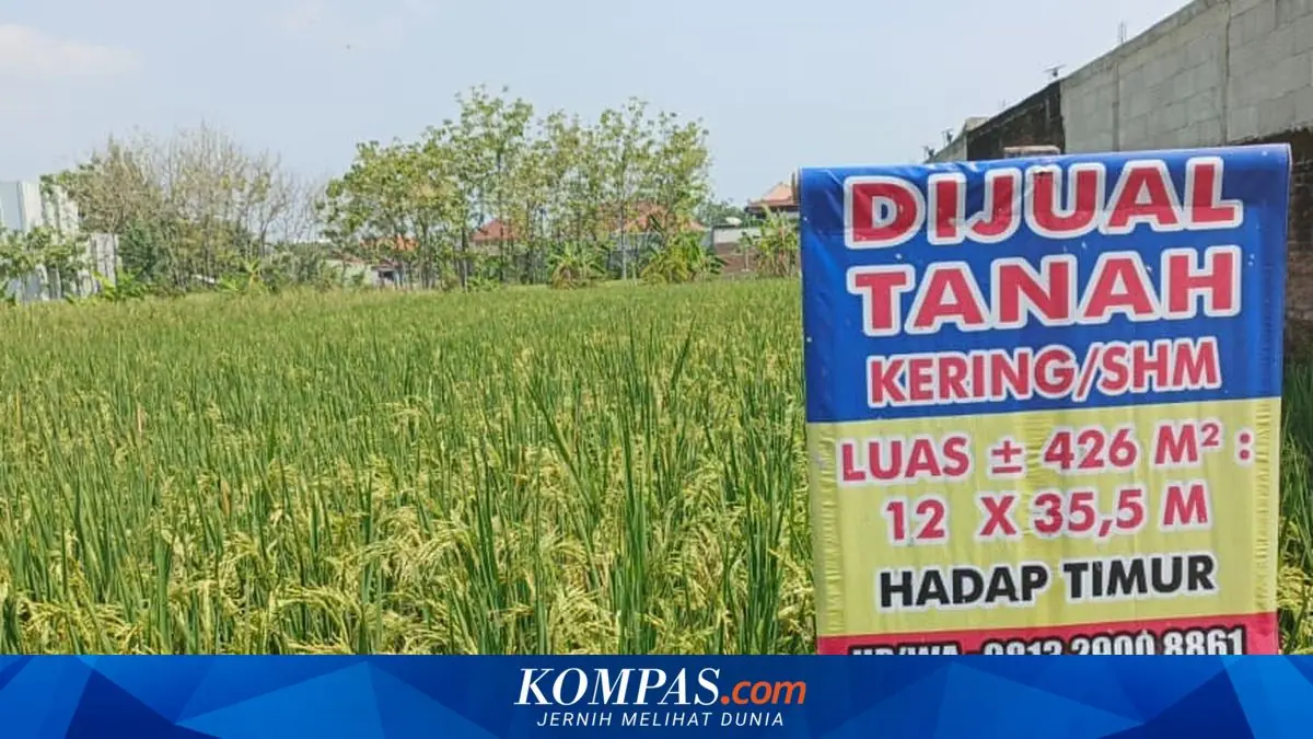 Cek Sertifikat Tanah Terjangkau, Tapi Bisa Selamatkan Aset Miliaran