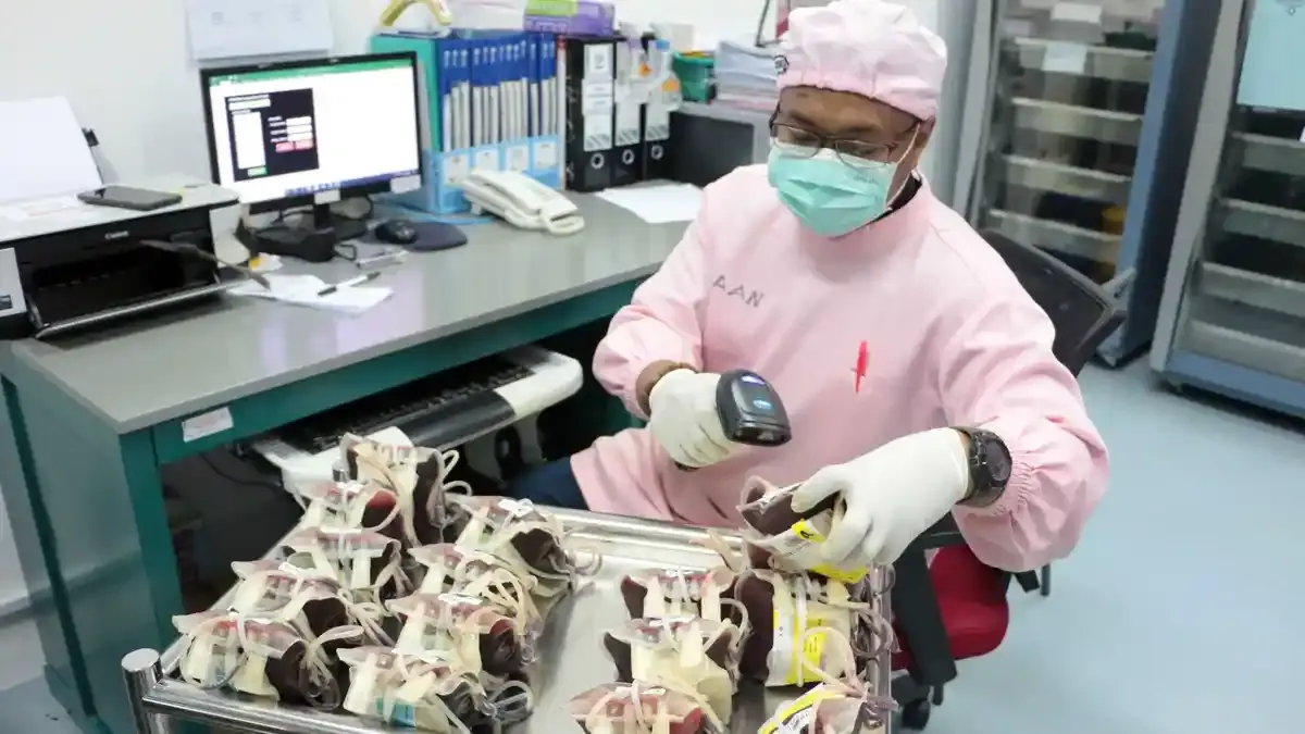 Benarkah Golongan Darah O Rentan Kolesterol dan Sering Digigit Nyamuk? Ini Penjelasan Pakar - Tribunnews.com