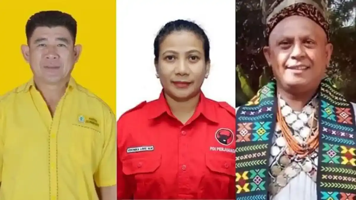 Golkar dan PKB Periksa Anggota DPRD TTU Terduga Pelaku Intimidasi Dokter Icha Pakaenoni - Pos-kupang.com