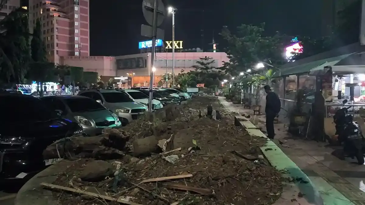 Soroti Pemotongan Pohon di Simpanglima, DPRD Kota Semarang Desak Pemkot Lakukan Peremajaan - Tribunjateng.com