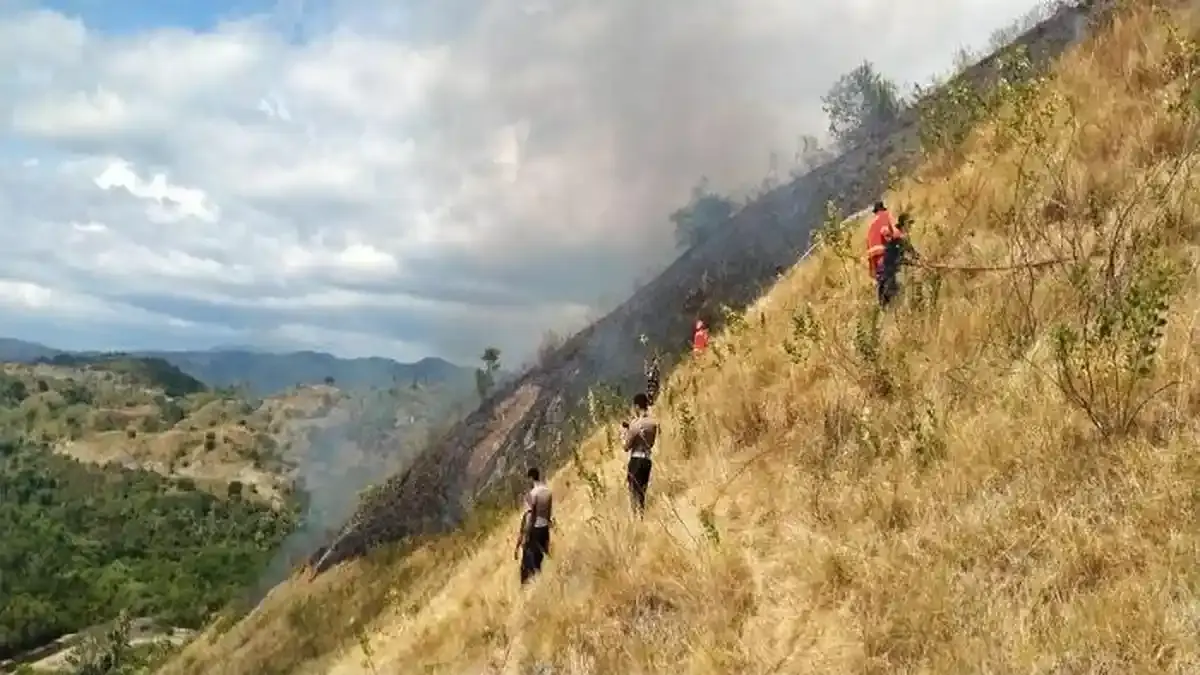 BMKG Komodo Ingatkan Ancaman Kebakaran Lahan di Labuan Bajo, Manggarai Barat - Pos-kupang.com