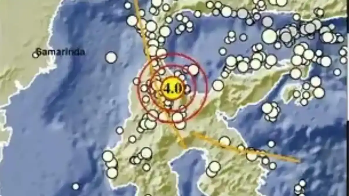 Gempa Terkini di Sulteng Jumat 26 Juni 2026, Info BMKG Berpusat di Darat Kedalaman 4 Km - Tribunmanado.co.id