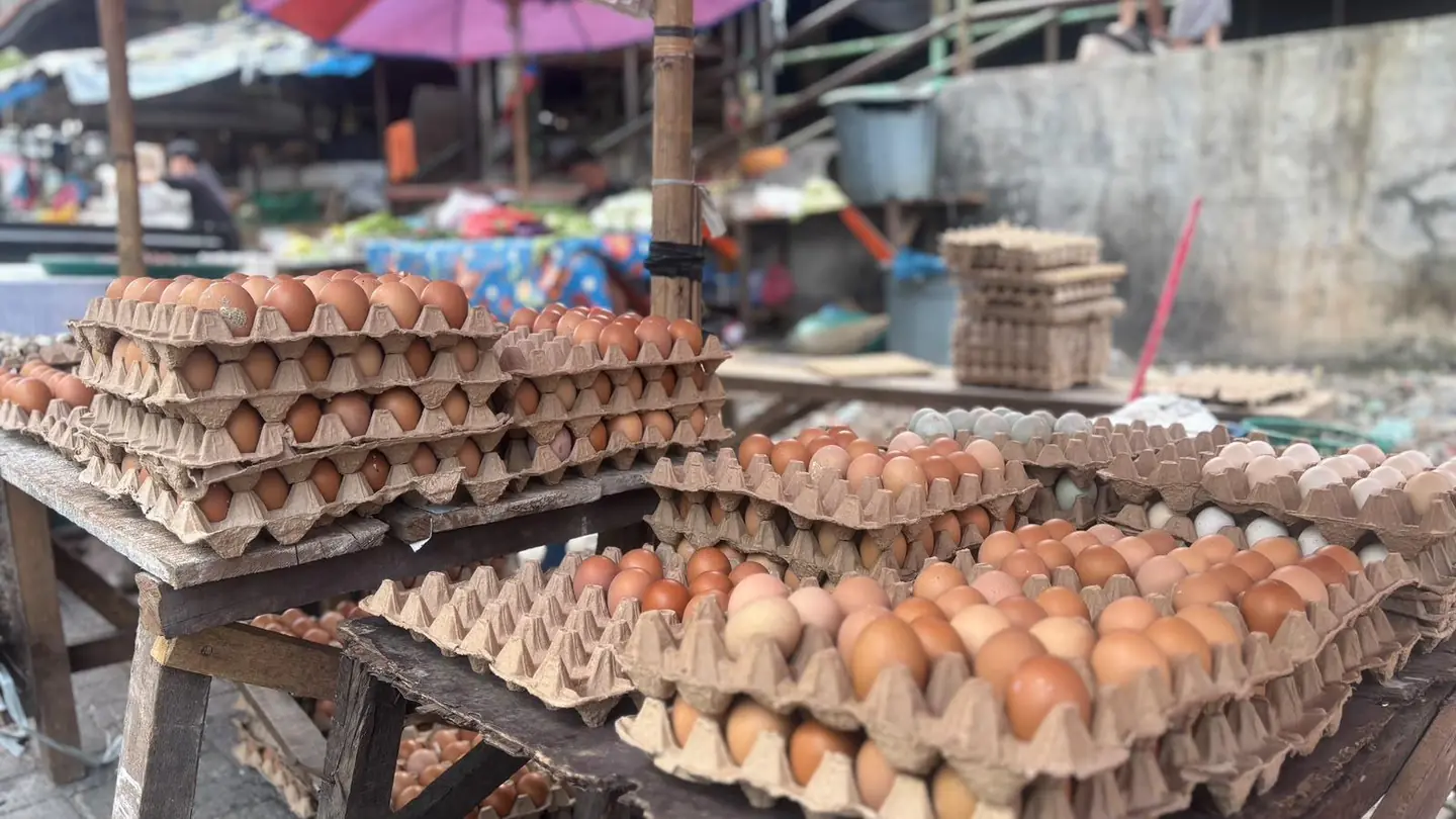 HARGA TELUR di Medan Alami Kenaikan Dalam Sepekan Ini, Warga Terpaksa Beli yang Retak: Lebih Murah - Tribun-medan.com