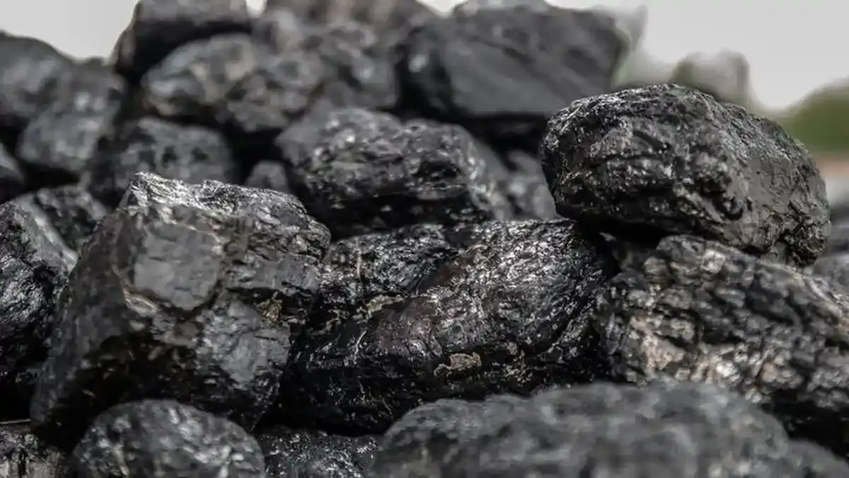 Harga Batubara Stabil Saat Dunia Bergejolak, Begini Respons Pengusaha - Tribunnews.com