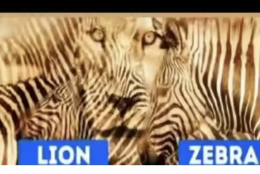 Tes Ilusi Optik: Singa Atau Zebra yang Dilihat? Ungkap Kamu Orang yang Pendiam Atau Suka Bergaul