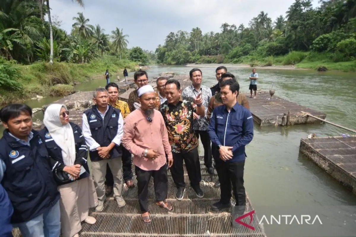 KKP: 15,6 ha kolam ikan budi daya di Padang Pariaman pulih September