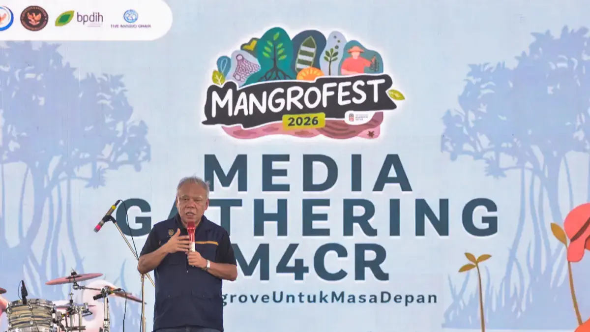 IKN akan Dijadikan Percontohan Rehabilitasi Mangrove