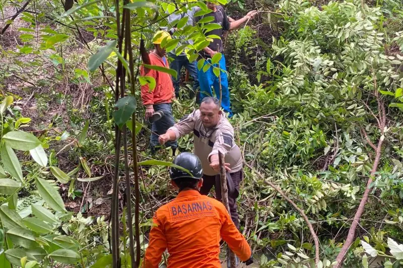 Tim SAR Cari Nenek 68 Tahun Hilang di Hutan