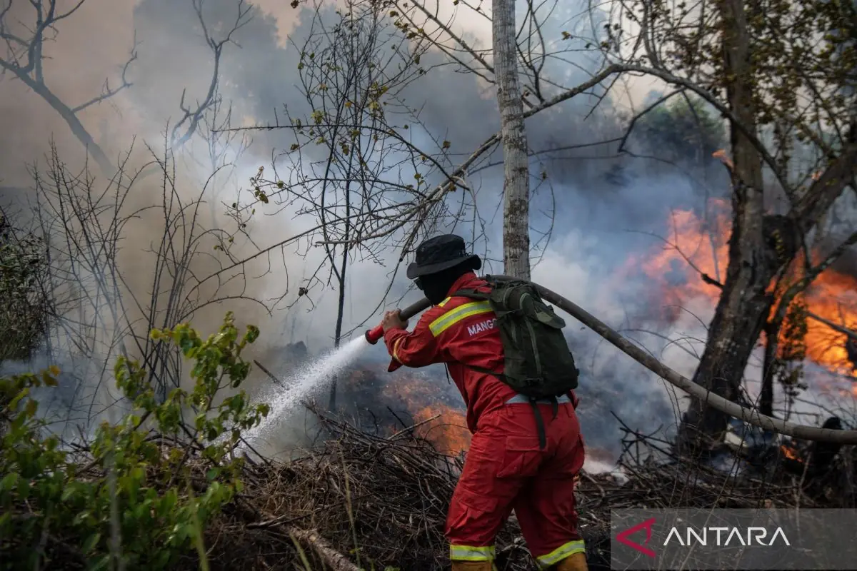 Pakar: Upaya mitigasi dampak karhutla harus cermat dan hati-hati