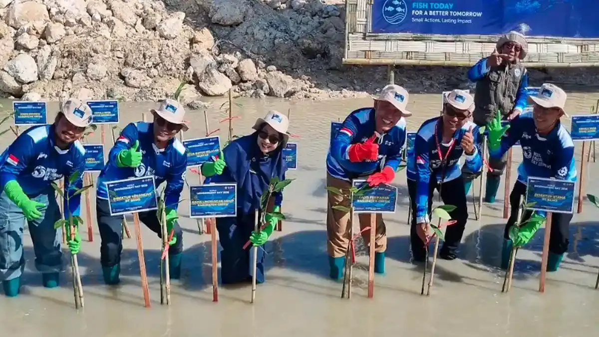 KEK JIIPE Gresik Tanam Seribu Mangrove dan Perkuat Tata Kelola Lingkungan Berbasis Data - Surya.co.id