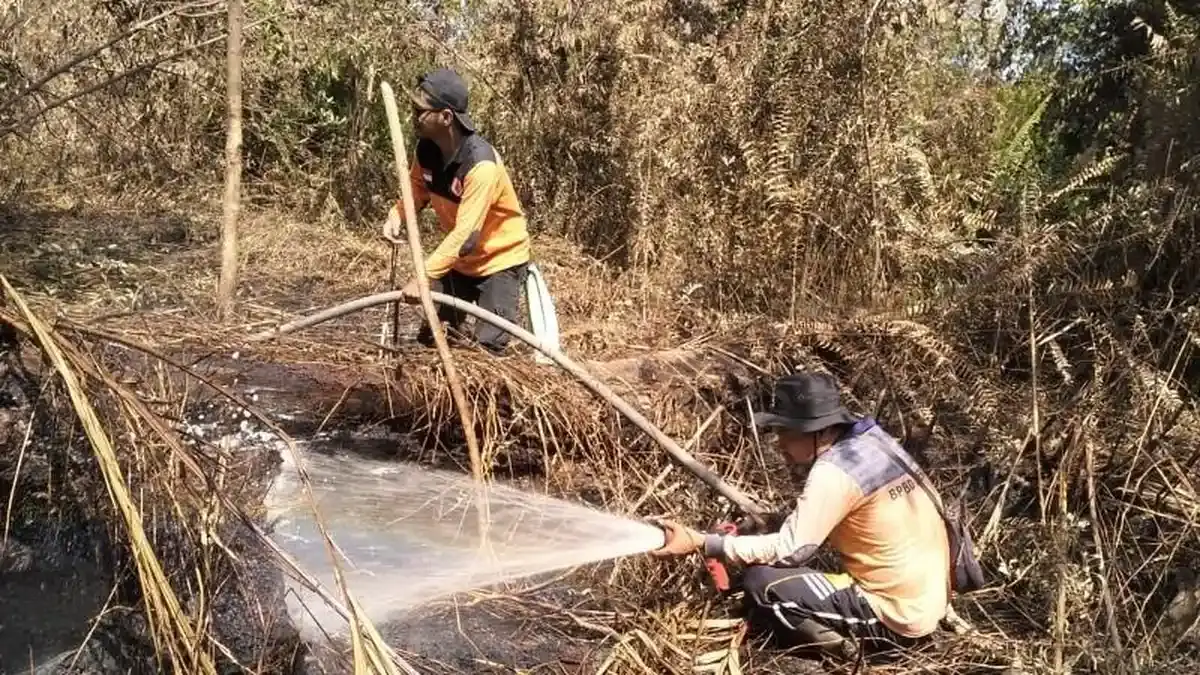 BPBD Kepulauan Meranti Tingkatkan Kesiapsiagaan Antisipasi Karhutla - Tribunpekanbaru.com