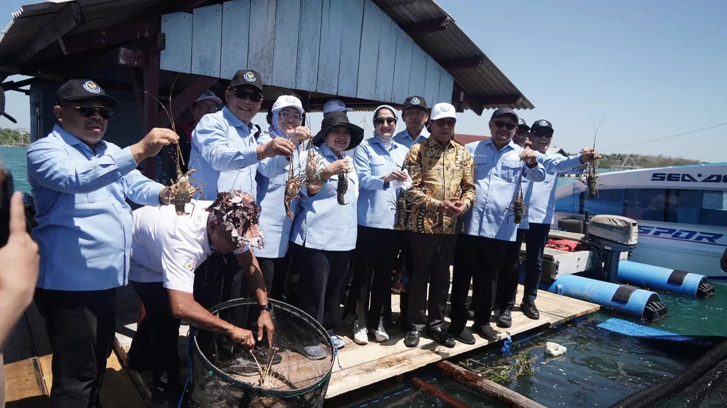Indonesia Bidik Jadi Produsen Lobster Budi Daya No.1 Dunia