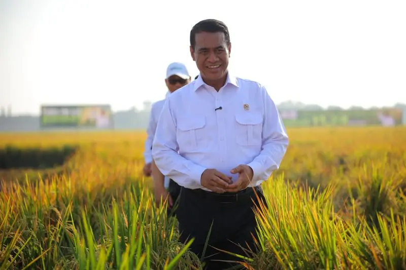Mentan Amran Ungkap Hasil Uji Beras Fortifikasi: Mayoritas Sampel Tak Sesuai Ketentuan.