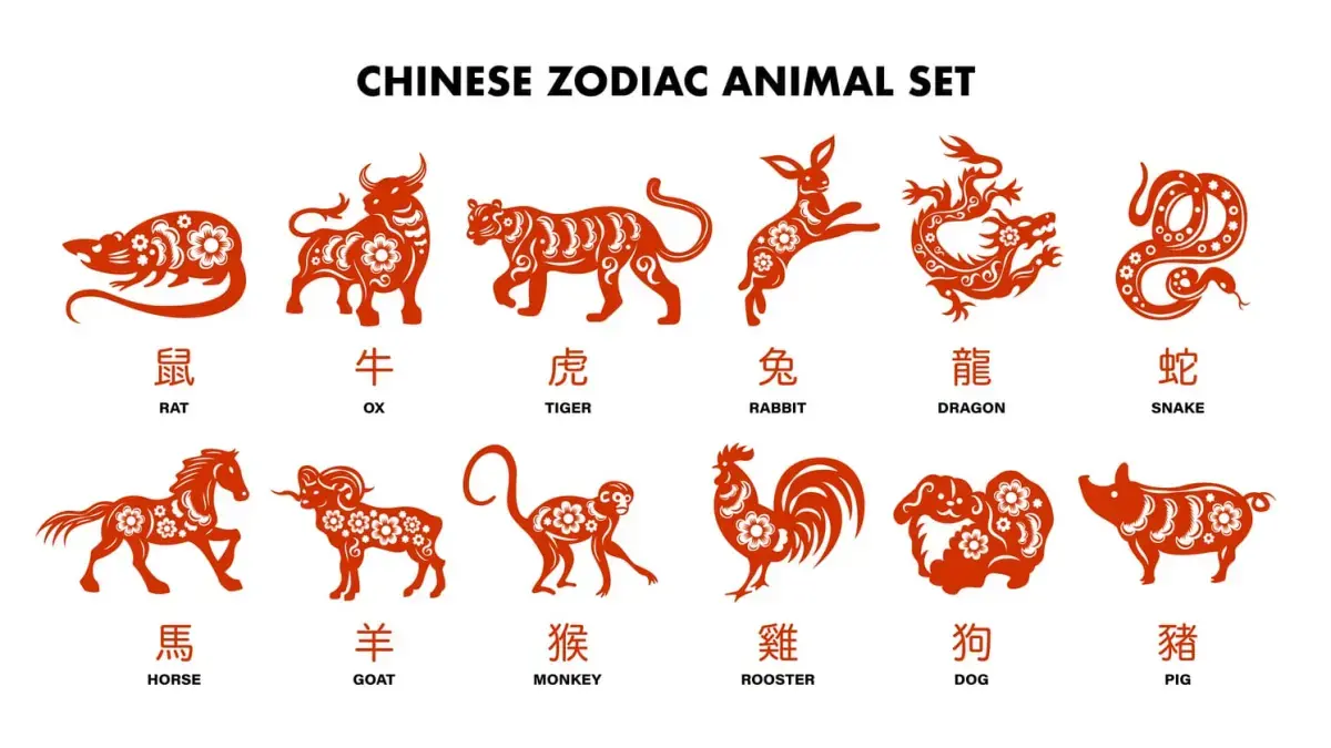 Rezeki Datang Cepat! 5 Shio yang Diprediksi Meraih Kekayaan dalam Waktu Singkat Menurut Astrologi Tionghoa