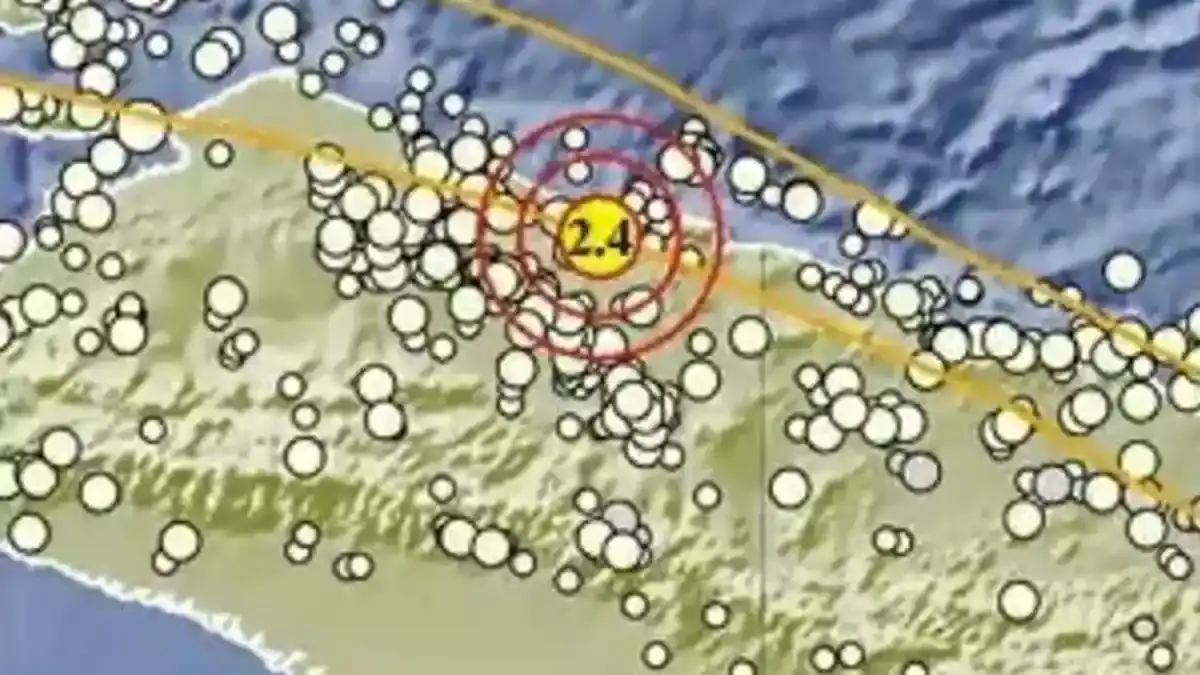 Gempa Terkini di Jayapura Papua Malam Ini Kamis 25 Juni 2026, Berikut Info BMKG - Tribunmanado.co.id