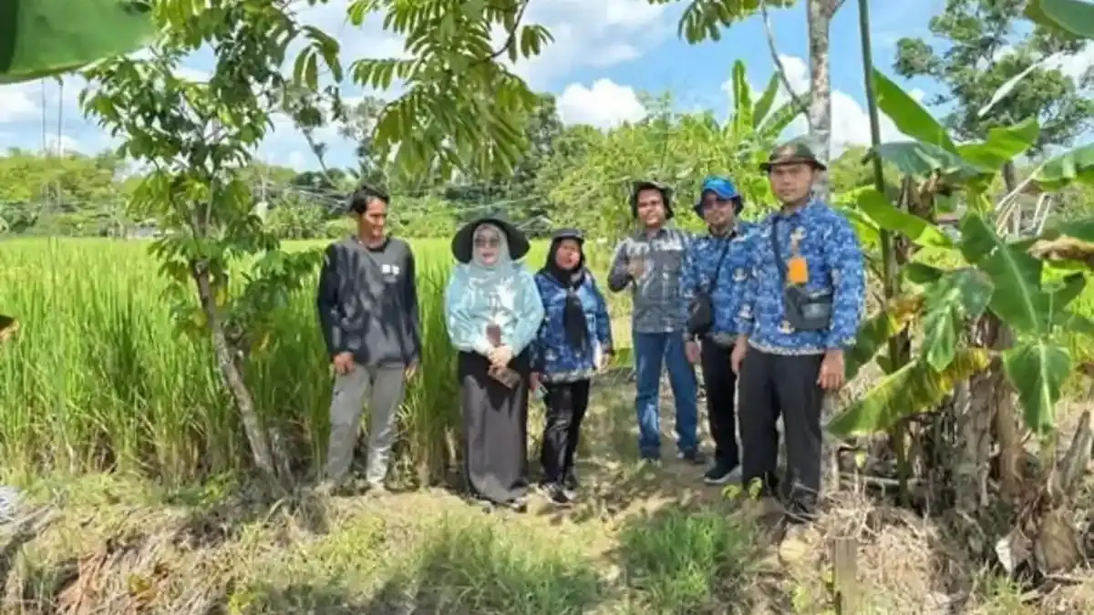 DKP3 Banjarbaru Siapkan Strategi Hadapi Kemarau, Petani Dapat Benih Tahan Kekeringan - Banjarmasinpost.co.id