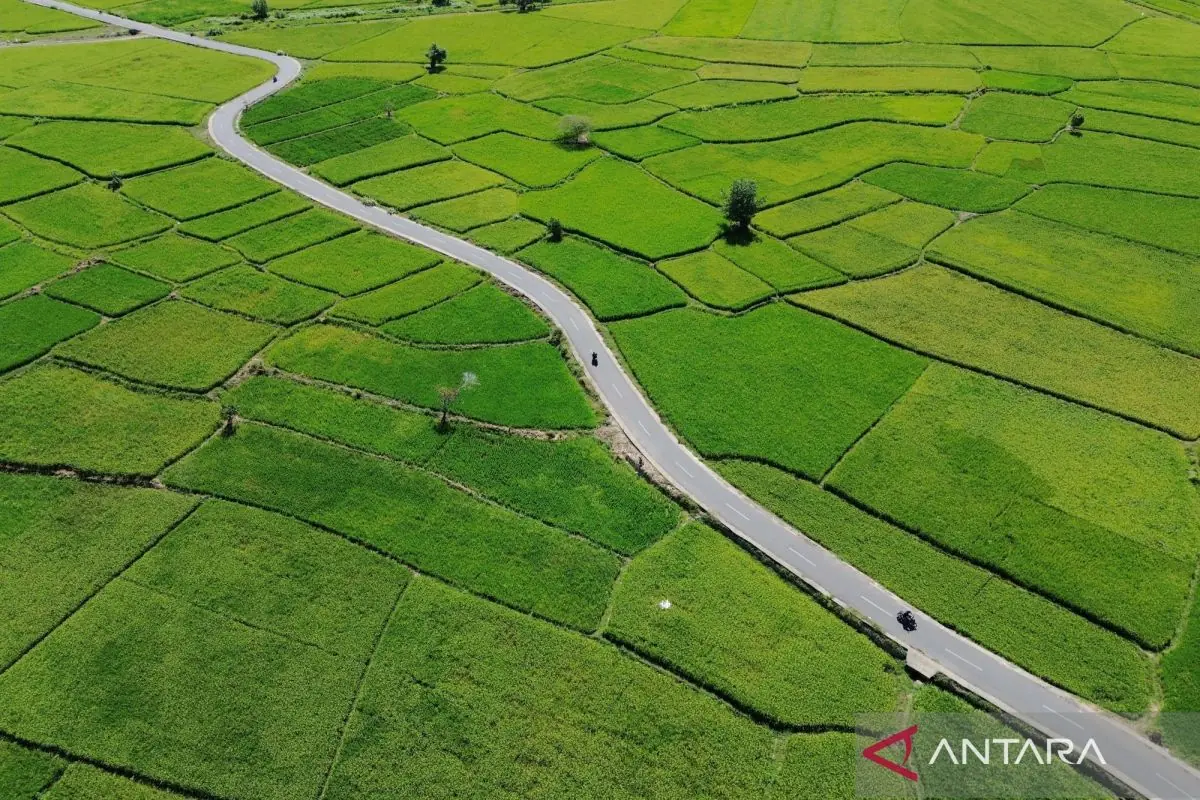 Menteri ATR minta pemda percepat integrasi LP2B ke tata ruang daerah