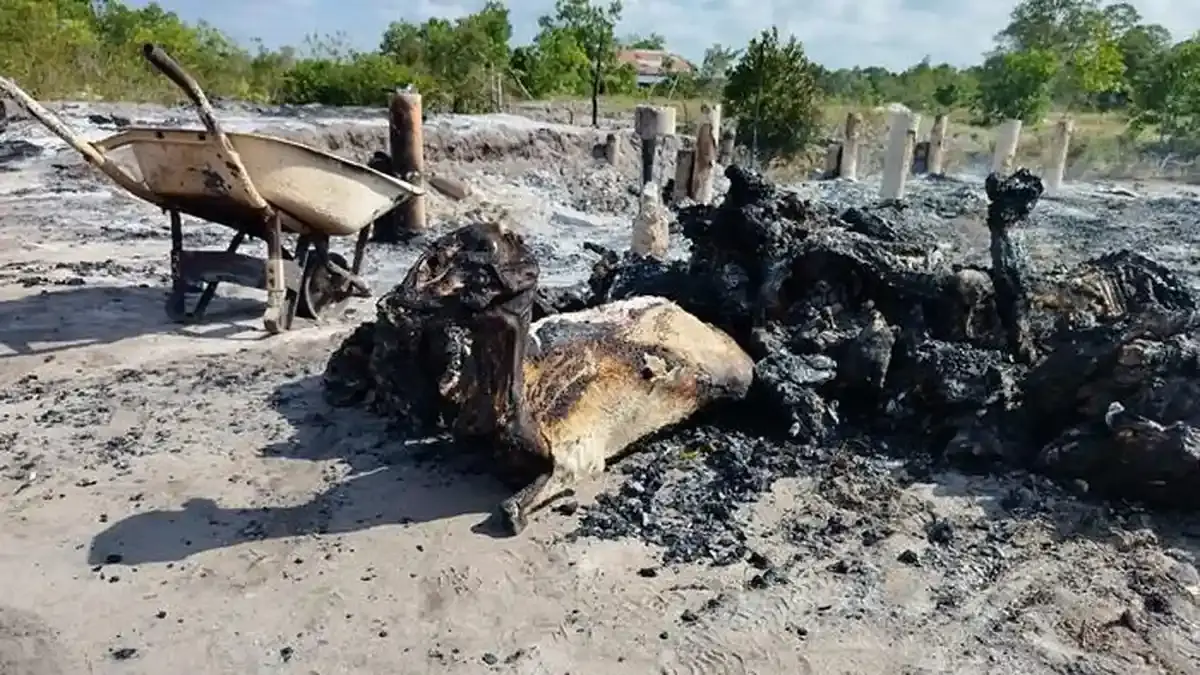 Kisah Pilu Edy Supryanto, Tolak Lapor Polisi Usai 43 Kambing Mati Terbakar, Rugi Lebih Rp200 Juta - Bangkapos.com