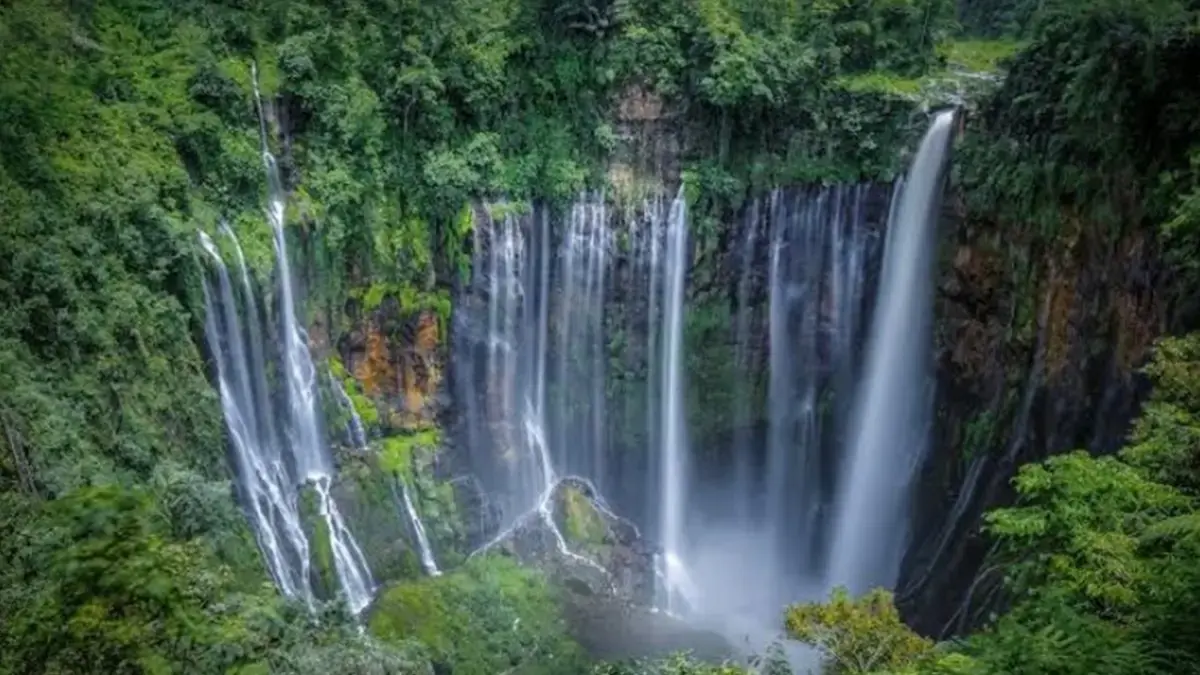 8 Wisata Lumajang yang Lagi Viral 2026, Ada Negeri di Atas Awan hingga Air Terjun Mirip Niagara