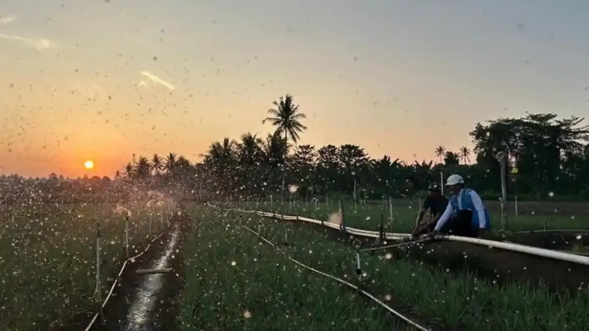 Tarif Listrik Triwulan III 2026 Tetap, PLN Siap Jaga Layanan ke Masyarakat - Posbelitung.co