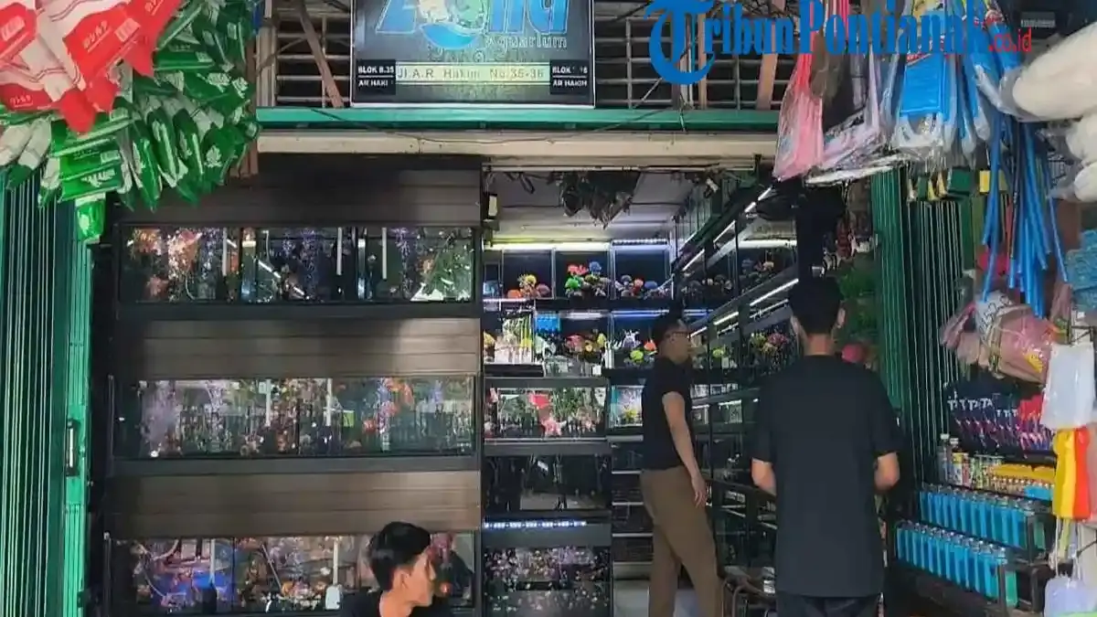 Pemadaman Listrik Beruntun di Pontianak, Pelaku Usaha Andalkan Genset - Tribunpontianak.co.id