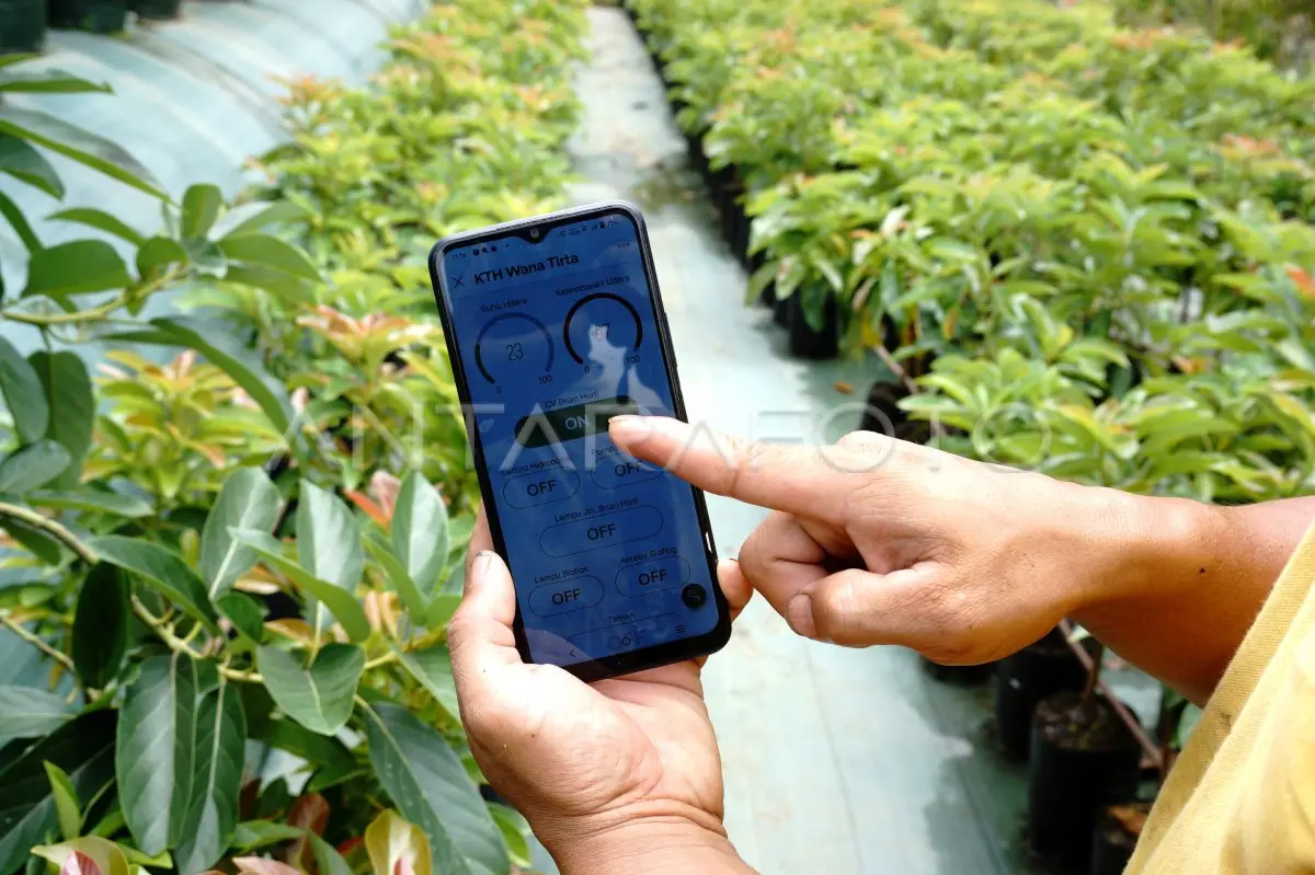 Bangka Tengah Tinggalkan Cara Lama, Smart Farming Jadi Andalan Kejar Produktivitas Pertanian