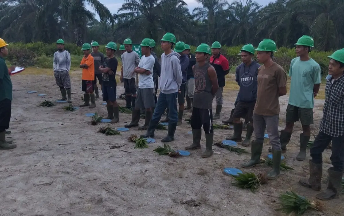 MA Batalkan SK Menhut 4.773,90 Hektare, HGU PT CSIL Disebut Masih Berlaku