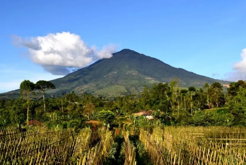 Giliran Gunung Cikuray Garut Kebakaran, 5 Hektare Lahan Perhutani Ludes Dilahap Api