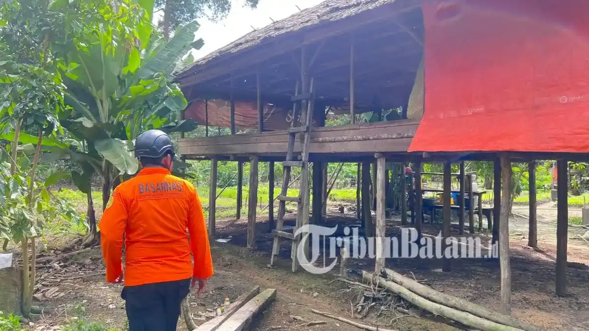 Kronologi Nenek Nurhayati Hilang di Lingga, Sempat ke Kandang Ayam lalu Kembali ke Rumah - Tribunbatam.id
