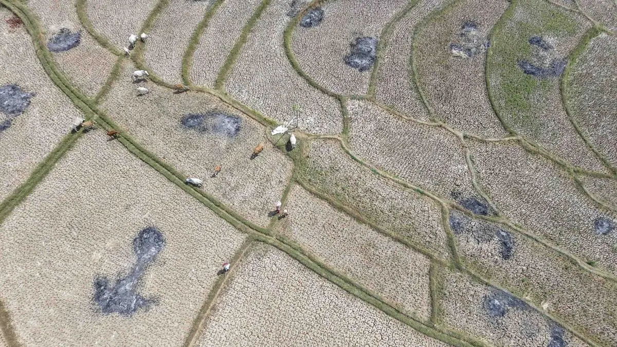 Korban Jiwa Dampak El Nino Diprediksi Bertambah, Indonesia Tertinggi Kedua - merdeka.com