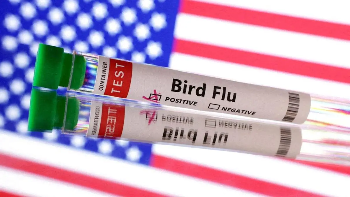 Filipina Laporkan Wabah Flu Burung H5N1 di Unggas Rumahan