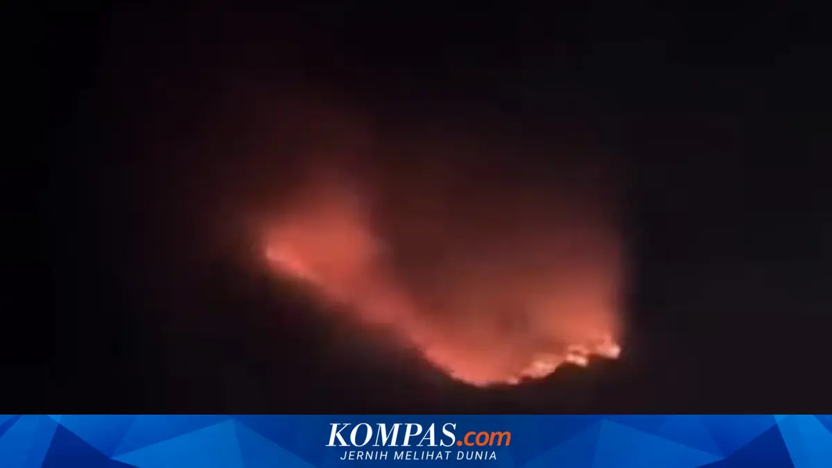 Hutan di Kawasan Gunung Bromo Terbakar, Akses Wisata dari Malang dan Lumajang Tutup
