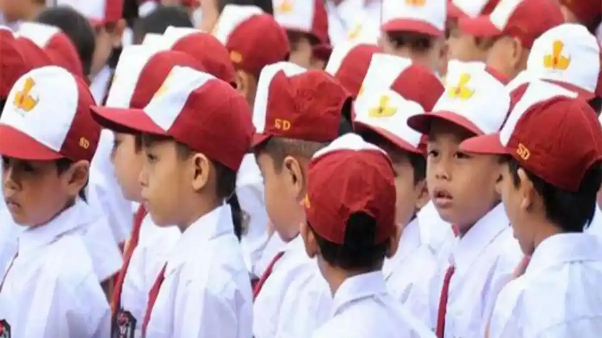 Daftar 44 SD Negeri di Kecamatan Nanga Tayap Ketapang, Lengkap dengan Alamatnya - Tribunpontianak.co.id