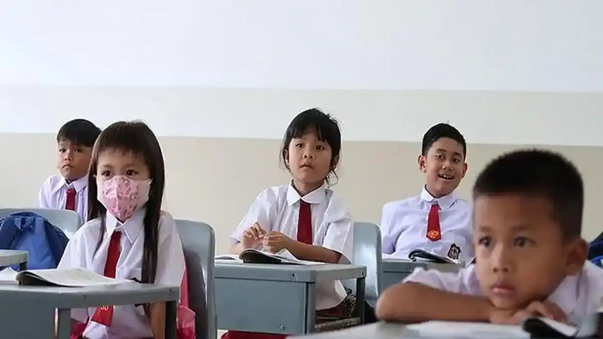 Daftar 24 SD Negeri di Kecamatan Sandai Kabupaten Ketapang Lengkap dengan Alamat - Tribunpontianak.co.id