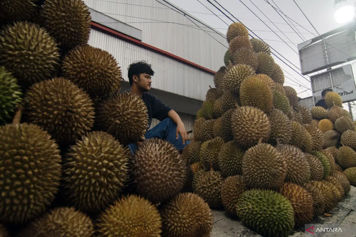 Kontes Durian Menjadi Jalan Bagus untuk Promosi Produk Unggulan
