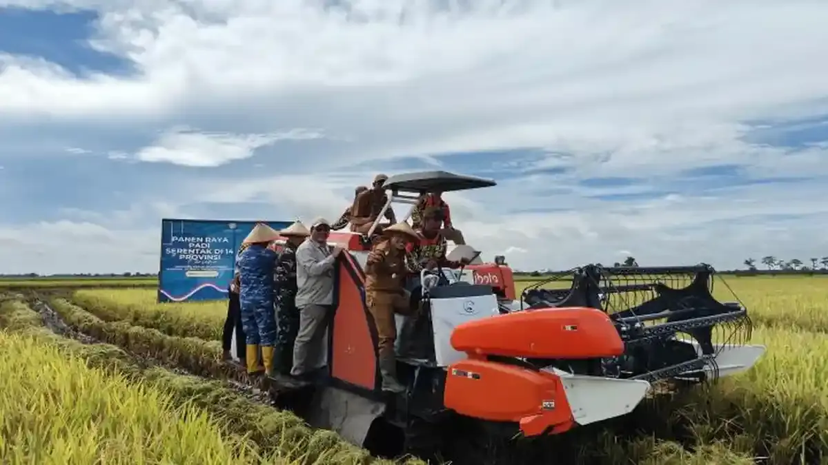 Brigade Pangan KAMMI Sambas Dukung Pertanian Modern, Siap Lawan Mafia Pangan demi Petani Sejahtera - Tribunnews.com