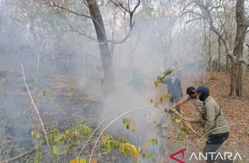 Karhutla Awal September di Taman Nasional Tambora Berdampak Sekitar 834 Hektare
