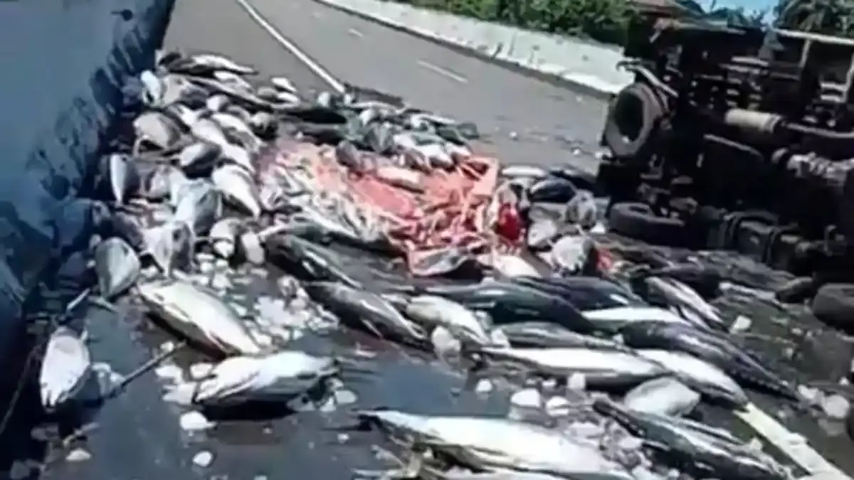 Akhir Mei hingga Juni 2026, Lebih dari 2 Kecelakaan Terjadi di Tol Manado-Bitung - Tribunmanado.co.id