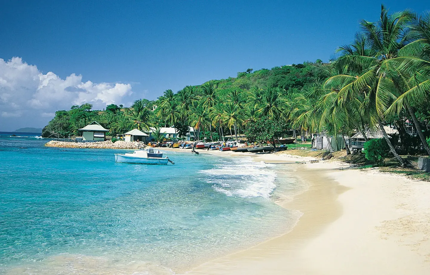 Saint Vincent dan Grenadines Diguncang Penembakan Massal, 4 Nyawa Melayang