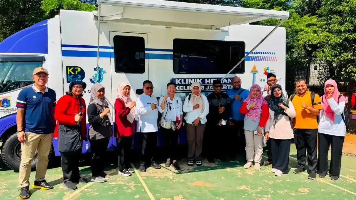 Tingkatkan Kesejahteraan Hewan di Jakarta, Dari Mobil Klinik hingga Target 23.000 Sterilisasi Kucing - Tribunnews.com